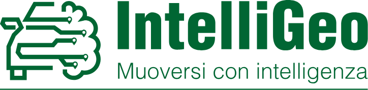 IntelliGeo